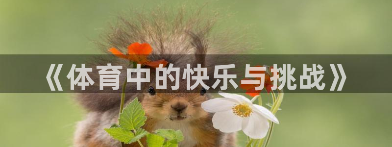 一竞技官网下载平台假的吗是真的吗:《体育中的快乐与挑战》